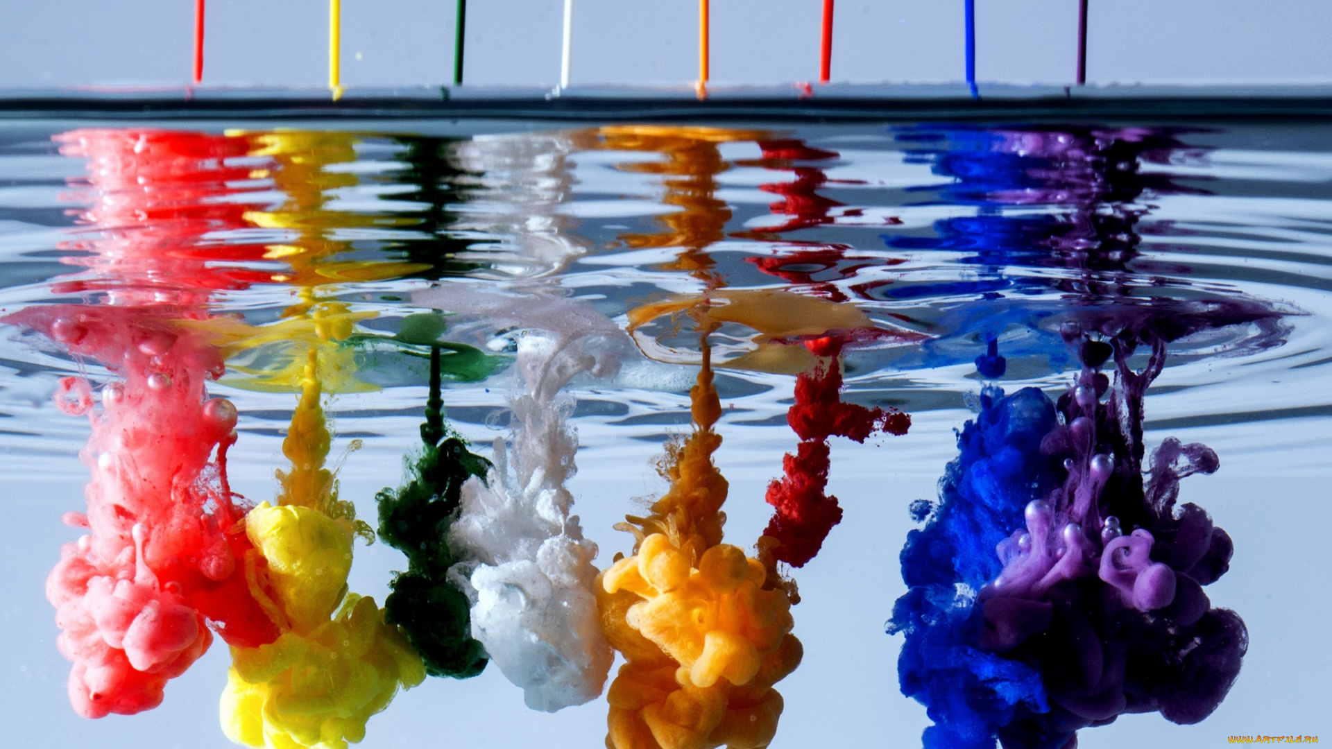 Dyes & Dye Intermediates