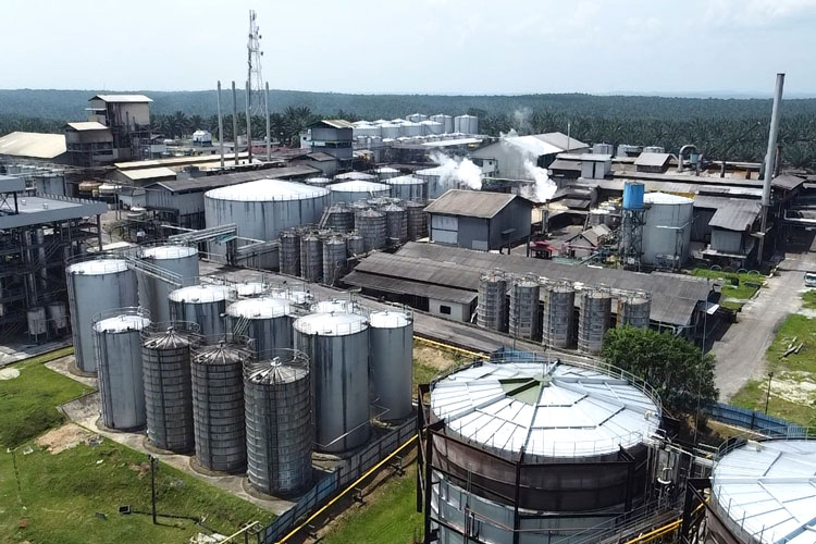 Integrated Oil Mill & Oleochemical Industry