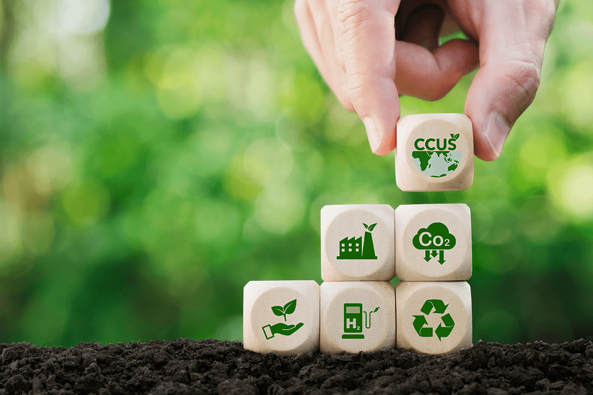 Ecological Impact Assessment (EcIA) & Biodiversity Studies