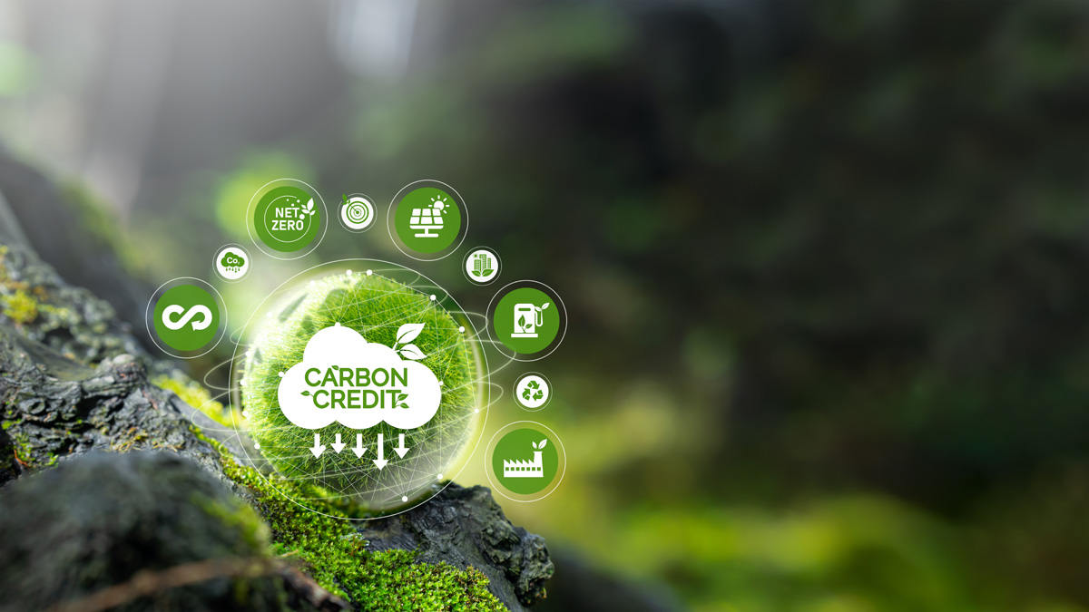 Carbon Management & Climate Change Services