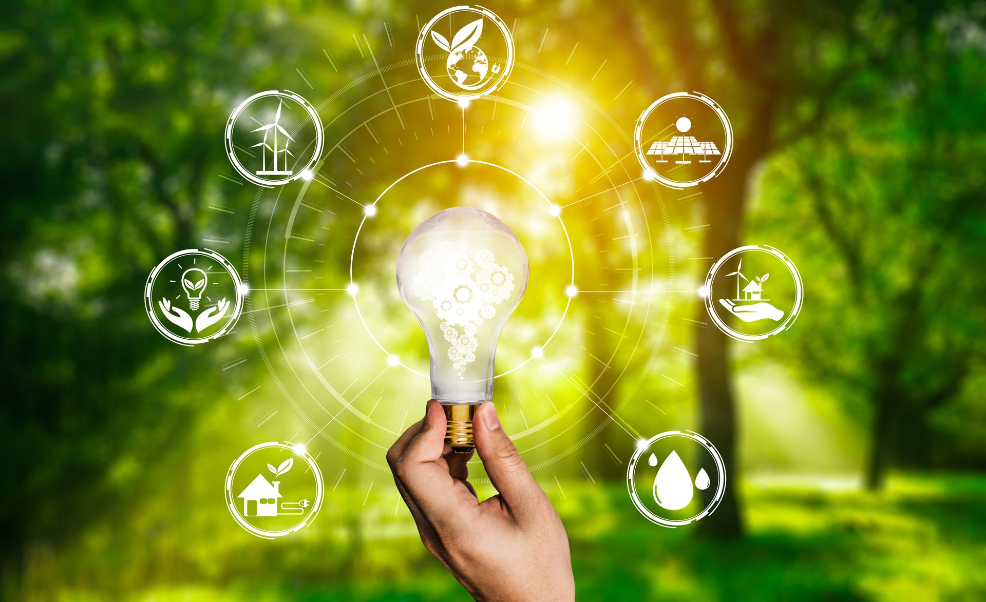 Energy Management Assessments